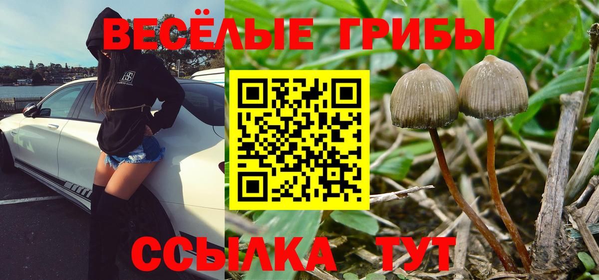 Галлюциногенные грибы Magic Shrooms Троицк