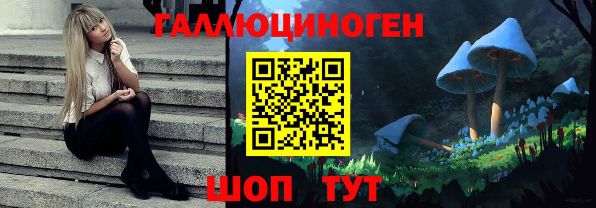 Троицк  Галлюциногенные грибы MAGIC MUSHROOMS  Вход с VPN  Галлюциногенные грибы Psilocybine cubensis 